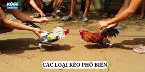 Đa dạng các cửa cược cho anh em tha hồ lựa chọn