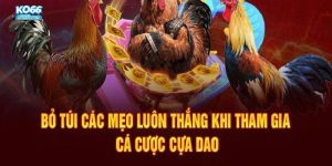 Áp dụng những kinh nghiệm để có tỷ lệ thắng cao hơn