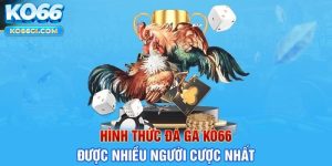 Giới thiệu về một số hình thức chọi gà Thomo nổi bật tại KO66