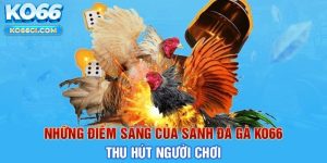 Điều làm nên sức hút cho loại hình chọi kê tại KO66