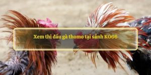 Kinh nghiệm đặt cược hiệu quả