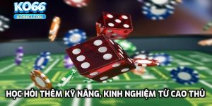 Học hỏi thêm kỹ năng, kinh nghiệm từ cao thủ