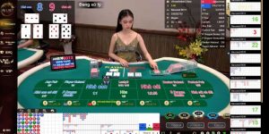 Thao tác đặt cược Casino nhanh cho newbie