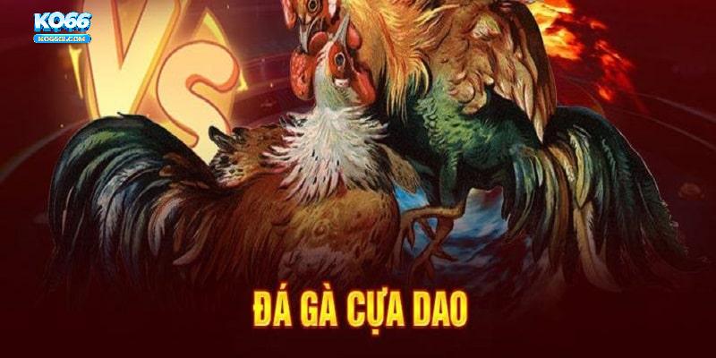 đá gà cựa dao