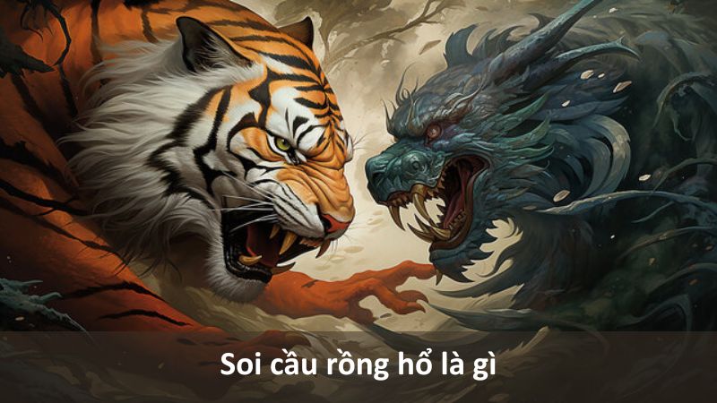 soi cầu rồng hổ là gì